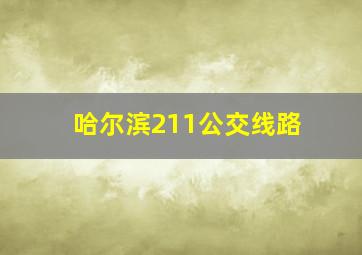 哈尔滨211公交线路