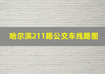 哈尔滨211路公交车线路图