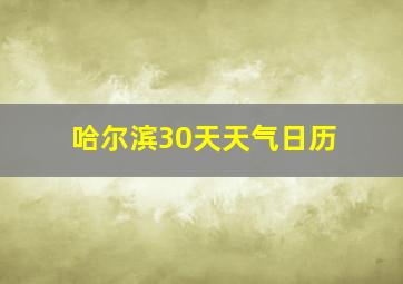 哈尔滨30天天气日历