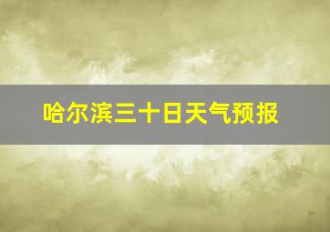 哈尔滨三十日天气预报