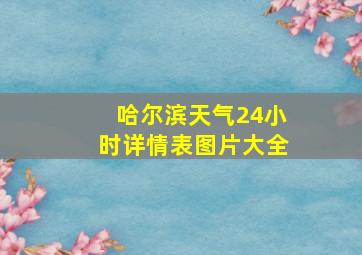 哈尔滨天气24小时详情表图片大全