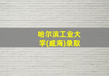 哈尔滨工业大学(威海)录取