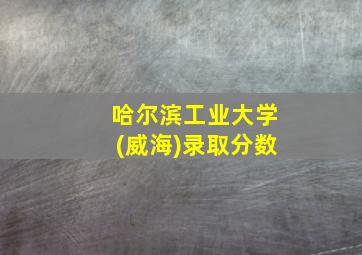 哈尔滨工业大学(威海)录取分数