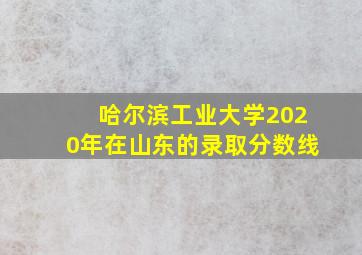 哈尔滨工业大学2020年在山东的录取分数线