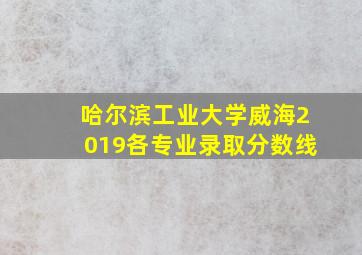 哈尔滨工业大学威海2019各专业录取分数线