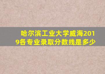 哈尔滨工业大学威海2019各专业录取分数线是多少