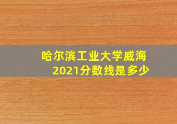 哈尔滨工业大学威海2021分数线是多少