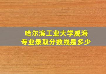 哈尔滨工业大学威海专业录取分数线是多少