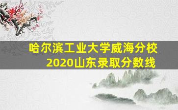 哈尔滨工业大学威海分校2020山东录取分数线