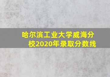 哈尔滨工业大学威海分校2020年录取分数线