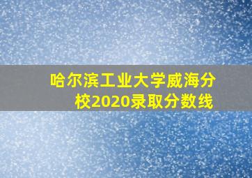 哈尔滨工业大学威海分校2020录取分数线