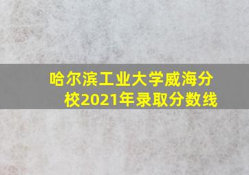 哈尔滨工业大学威海分校2021年录取分数线