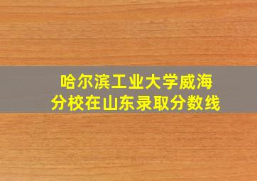 哈尔滨工业大学威海分校在山东录取分数线