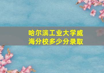 哈尔滨工业大学威海分校多少分录取