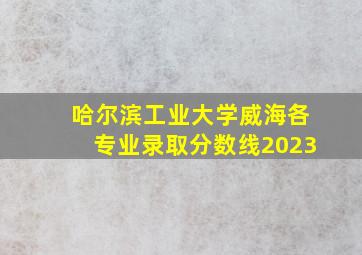 哈尔滨工业大学威海各专业录取分数线2023