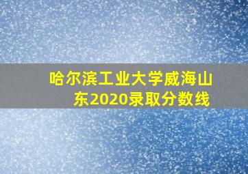 哈尔滨工业大学威海山东2020录取分数线