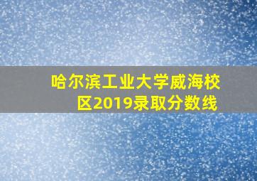 哈尔滨工业大学威海校区2019录取分数线