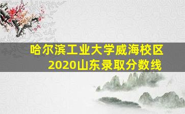 哈尔滨工业大学威海校区2020山东录取分数线