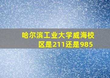 哈尔滨工业大学威海校区是211还是985