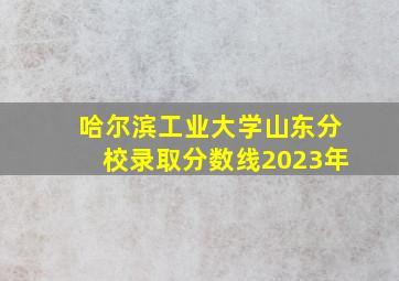 哈尔滨工业大学山东分校录取分数线2023年