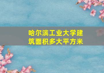 哈尔滨工业大学建筑面积多大平方米