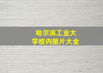 哈尔滨工业大学校内图片大全