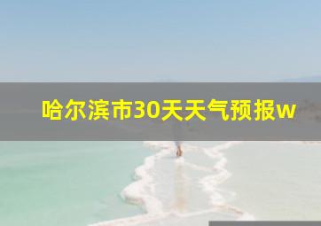 哈尔滨市30天天气预报w