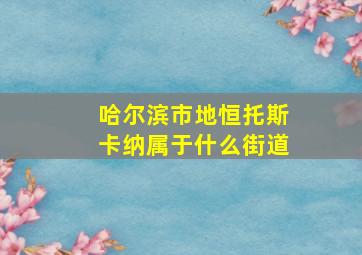 哈尔滨市地恒托斯卡纳属于什么街道