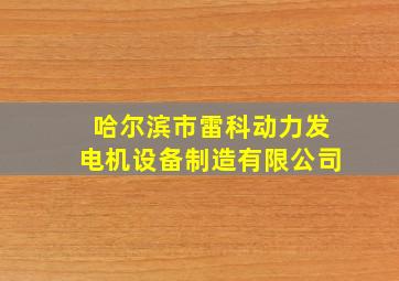 哈尔滨市雷科动力发电机设备制造有限公司