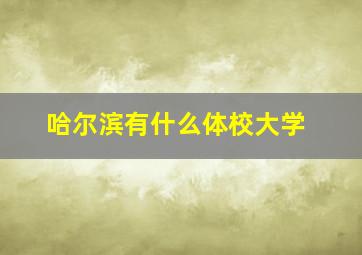 哈尔滨有什么体校大学