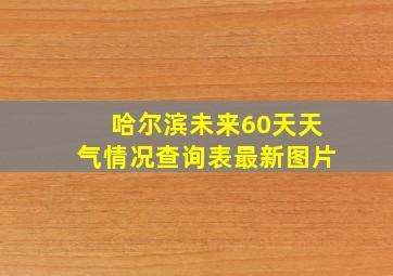 哈尔滨未来60天天气情况查询表最新图片