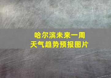 哈尔滨未来一周天气趋势预报图片