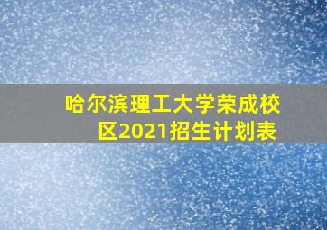 哈尔滨理工大学荣成校区2021招生计划表