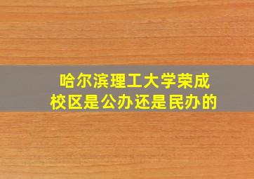 哈尔滨理工大学荣成校区是公办还是民办的