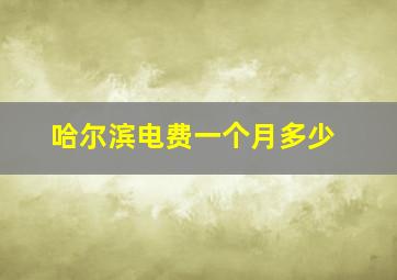 哈尔滨电费一个月多少