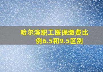 哈尔滨职工医保缴费比例6.5和9.5区别