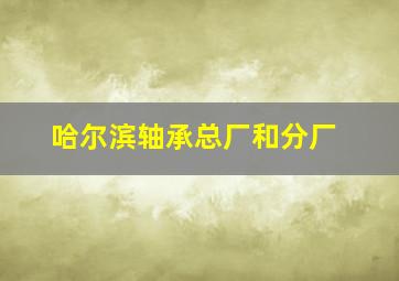 哈尔滨轴承总厂和分厂