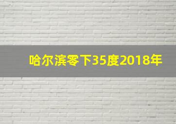 哈尔滨零下35度2018年