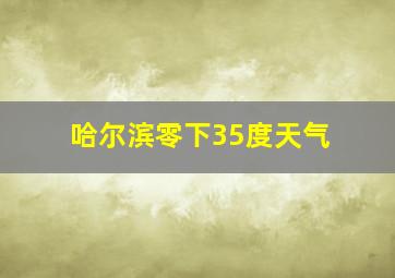 哈尔滨零下35度天气