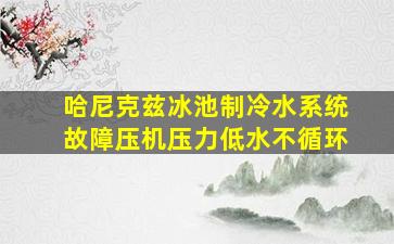 哈尼克兹冰池制冷水系统故障压机压力低水不循环