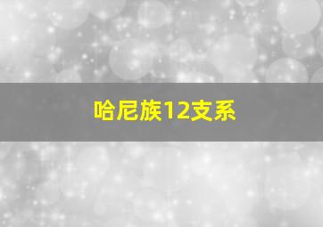 哈尼族12支系