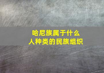 哈尼族属于什么人种类的民族组织