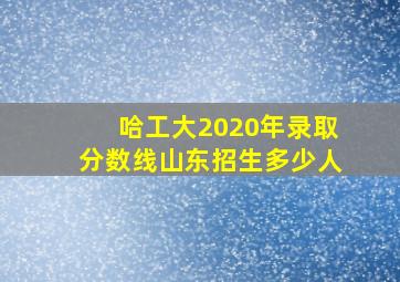 哈工大2020年录取分数线山东招生多少人