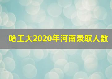 哈工大2020年河南录取人数