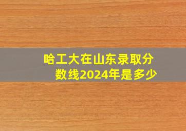 哈工大在山东录取分数线2024年是多少