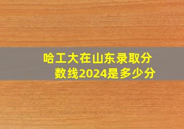 哈工大在山东录取分数线2024是多少分