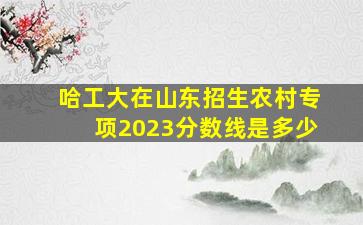 哈工大在山东招生农村专项2023分数线是多少