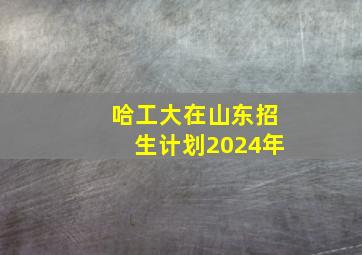 哈工大在山东招生计划2024年