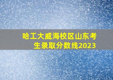 哈工大威海校区山东考生录取分数线2023