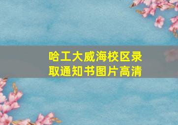 哈工大威海校区录取通知书图片高清